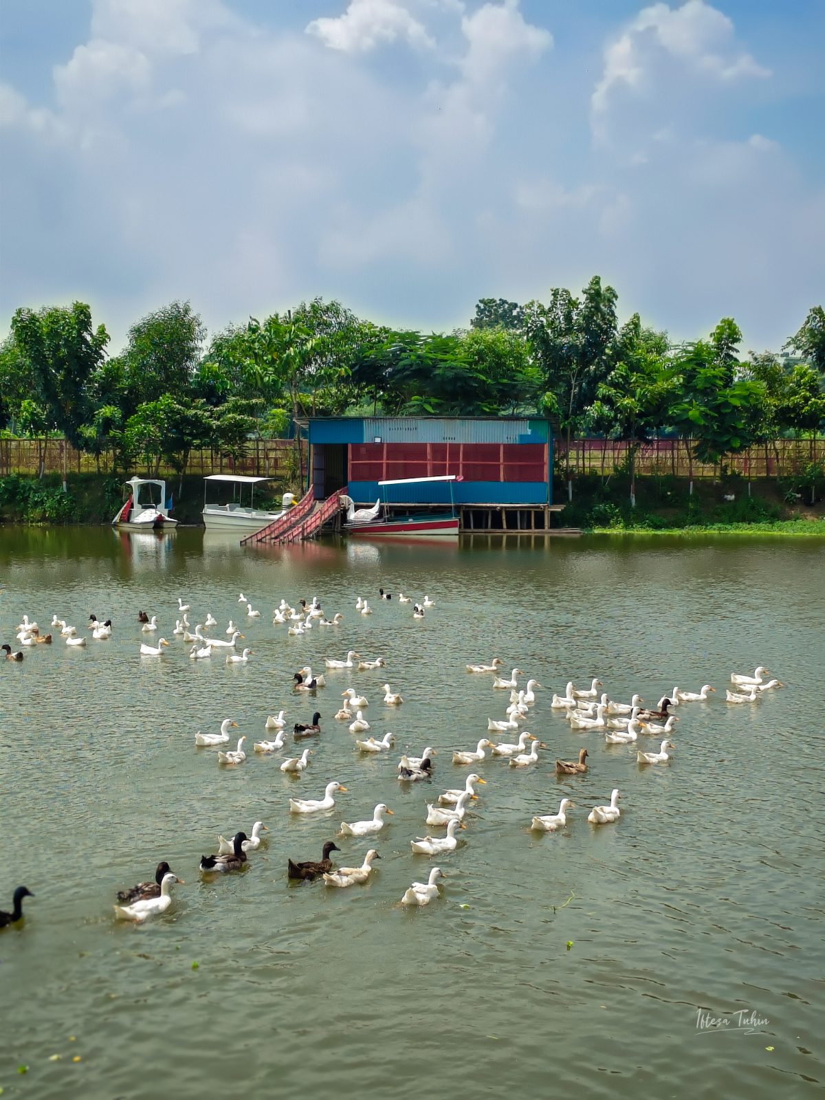 রুইতার বিল ইকো পার্ক: ছবি ৮