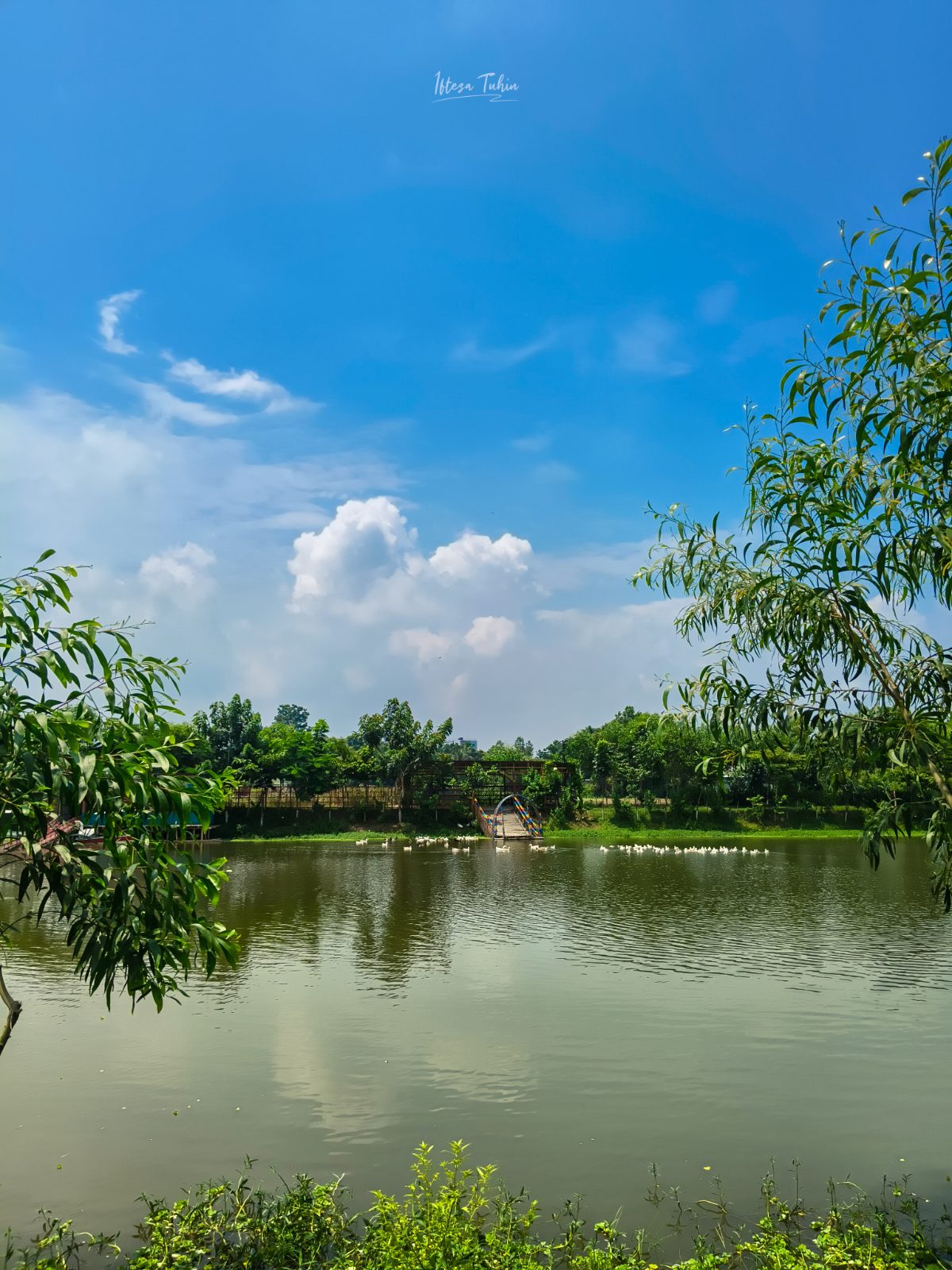 রুইতার বিল ইকো পার্ক: ছবি ৯
