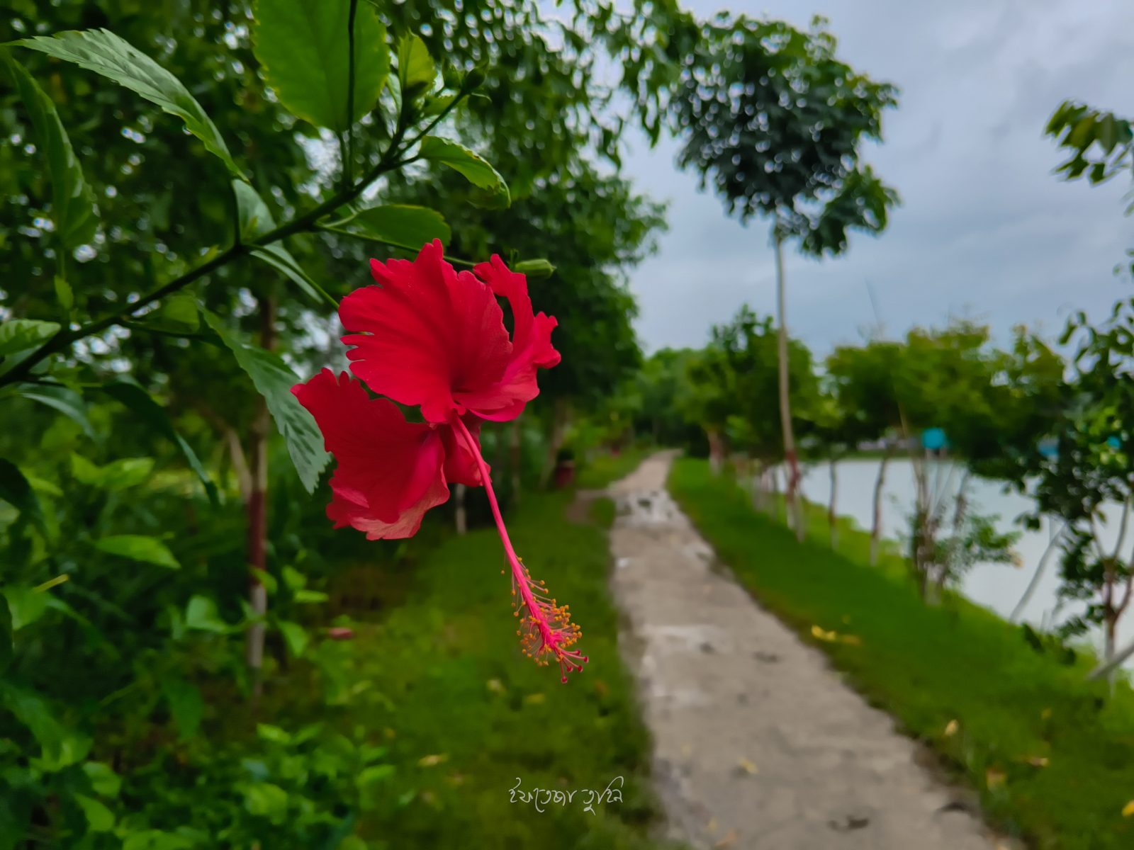 রুইতার বিল ইকো পার্ক: ছবি ১০