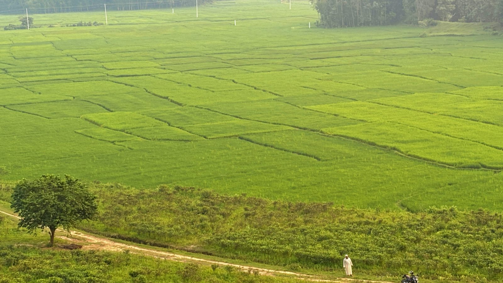 হাজারীখিল মিনি কাশ্মির: ছবি ৬
