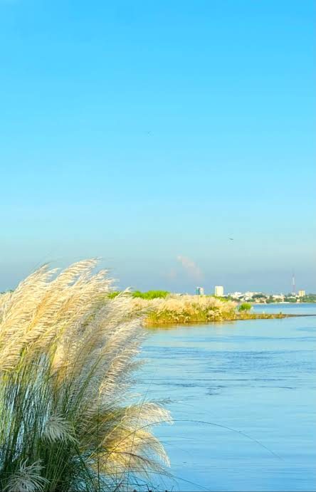 মাঝির চর: ছবি ৪