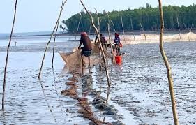 মাঝির চর: ছবি ৫