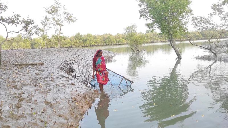 মাঝির চর: ছবি ৭