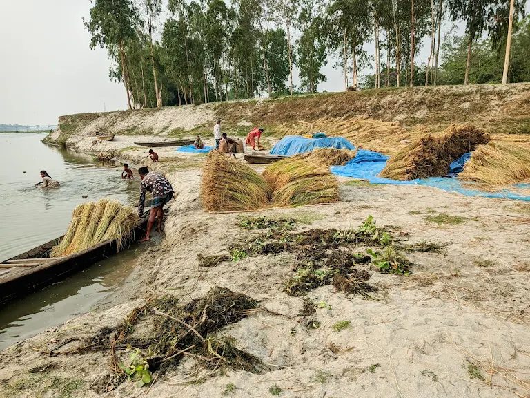 ময়নামতির চর: ছবি ৬