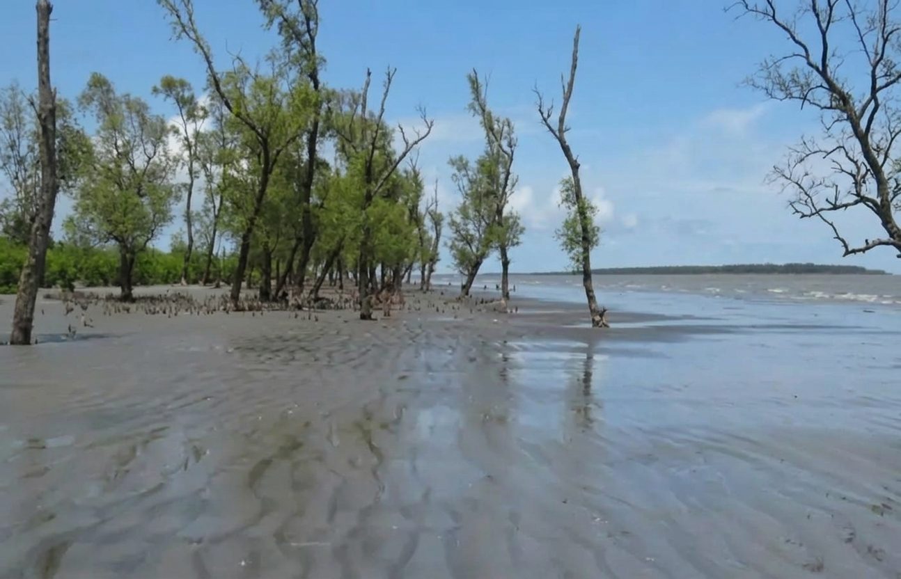সোনারচর, উপজেলা: গলাচিপা, পটুয়াখালী