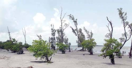 সোনারচর: ছবি ২