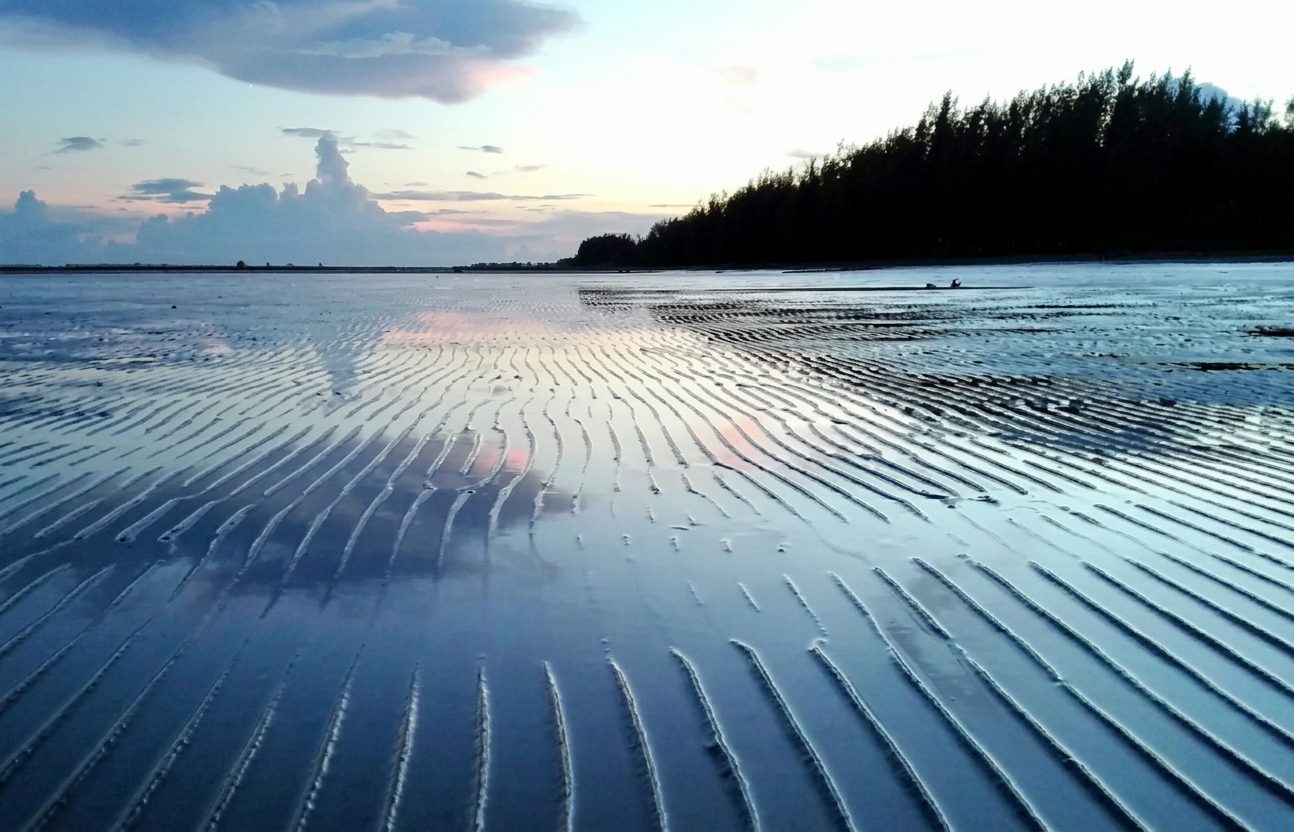 সোনারচর: ছবি ৩