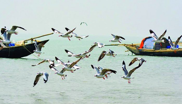 সোনারচর: ছবি ৫