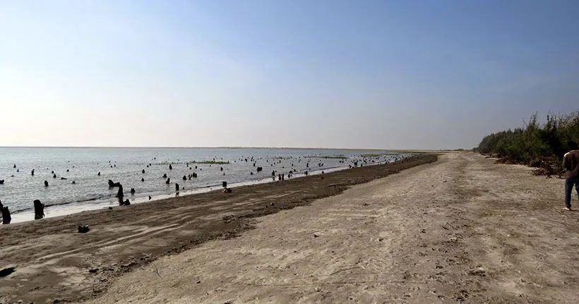 সোনারচর: ছবি ৯