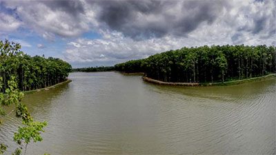 ছালড়া শালবন, মুক্তাগাছা, ময়মনসিংহ