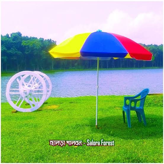 ছালড়া শালবন: ছবি ৪