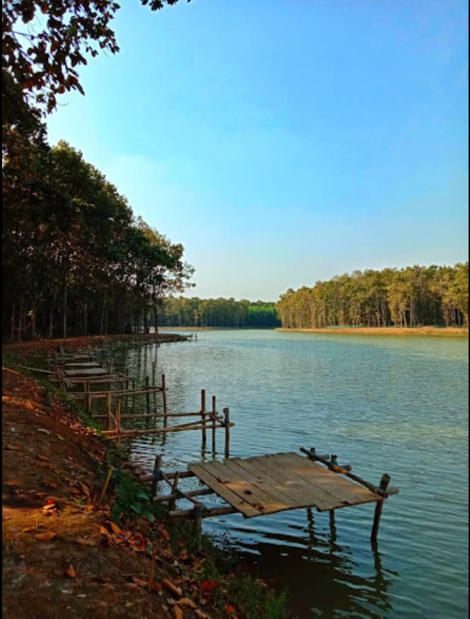 ছালড়া শালবন: ছবি ৬
