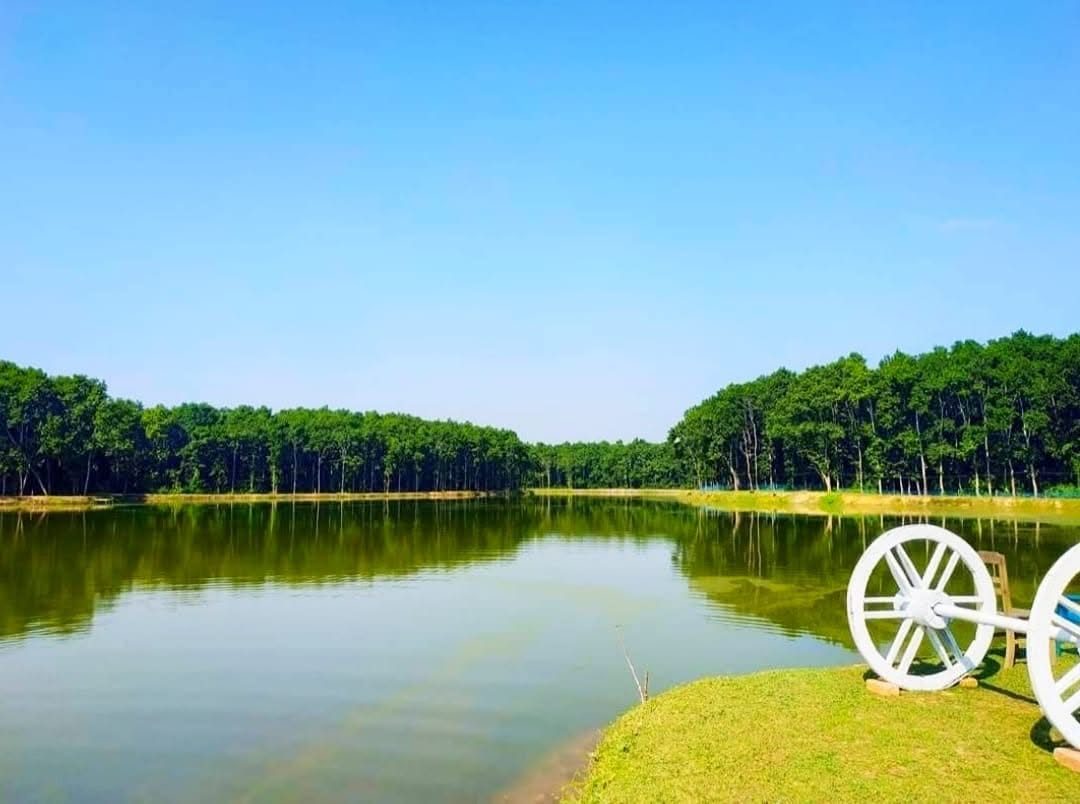 ছালড়া শালবন: ছবি ৭
