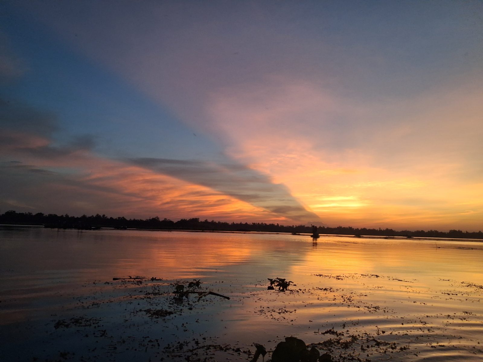 চারান বিল: ছবি ৬