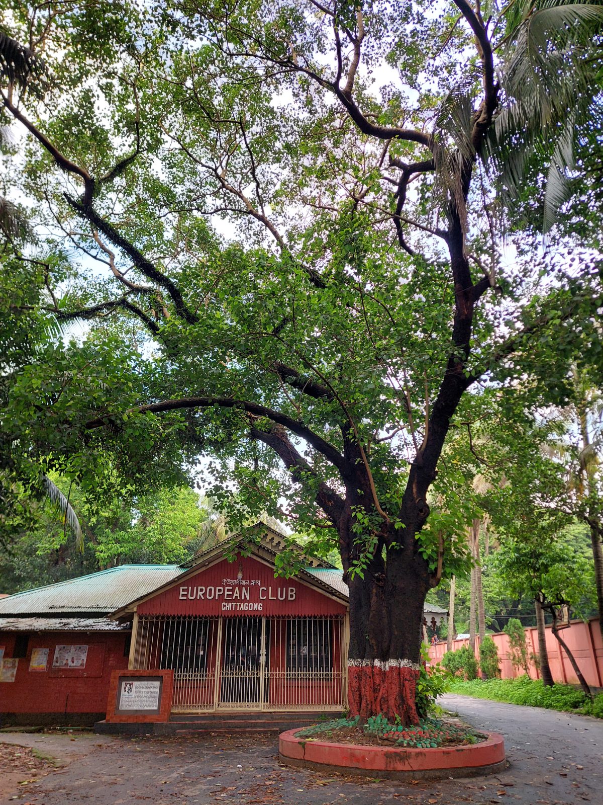ইউরোপিয়ান ক্লাব: ছবি ৫