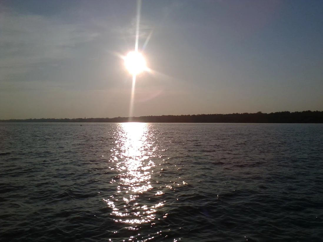 গোড়াপদ্মা: ছবি ২