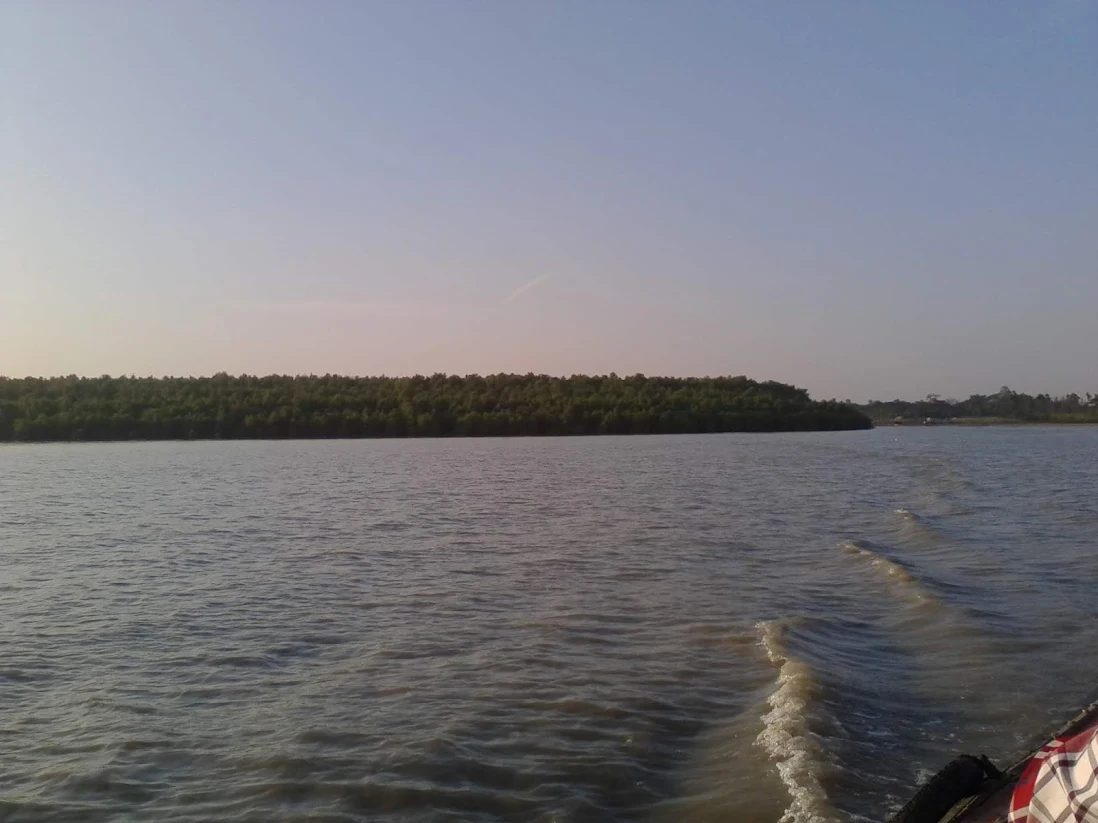 গোড়াপদ্মা: ছবি ৪