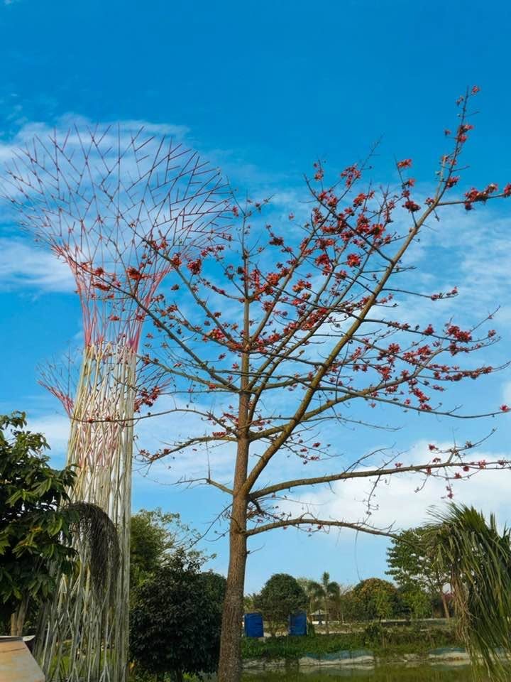 সরোবর পার্ক এন্ড রিসোর্ট: ছবি ৮
