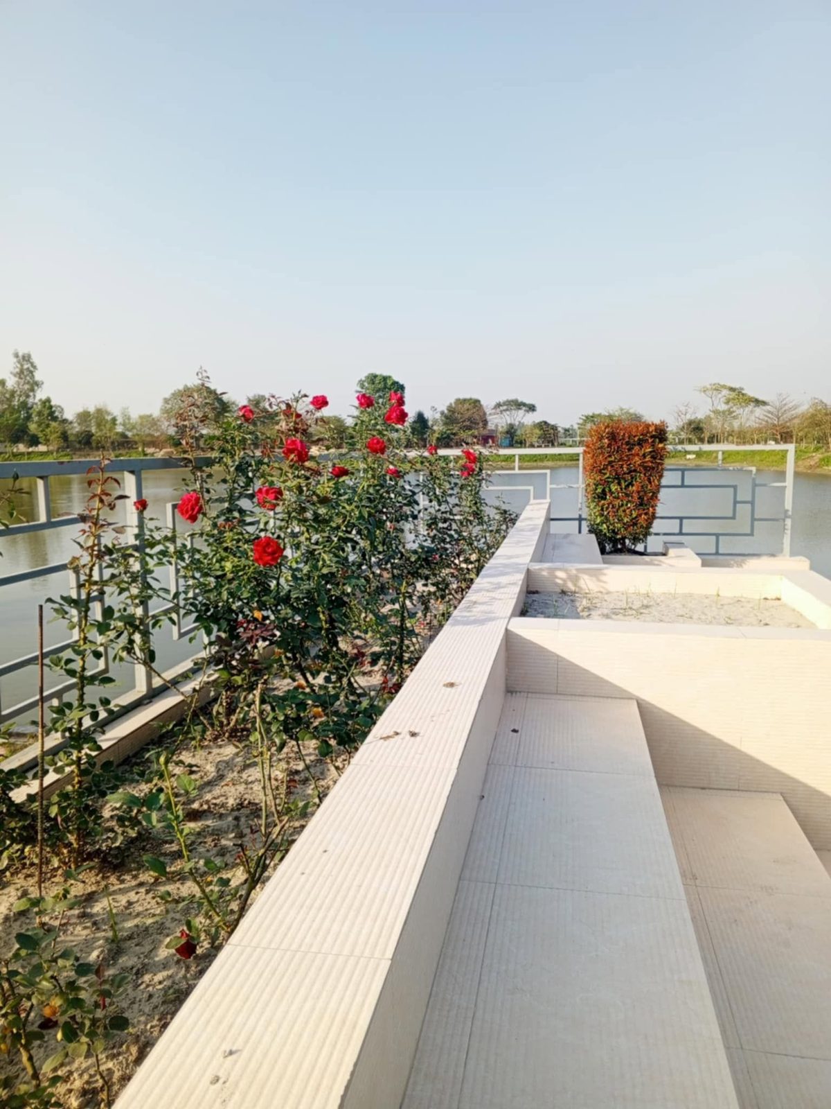 সরোবর পার্ক এন্ড রিসোর্ট: ছবি ১০