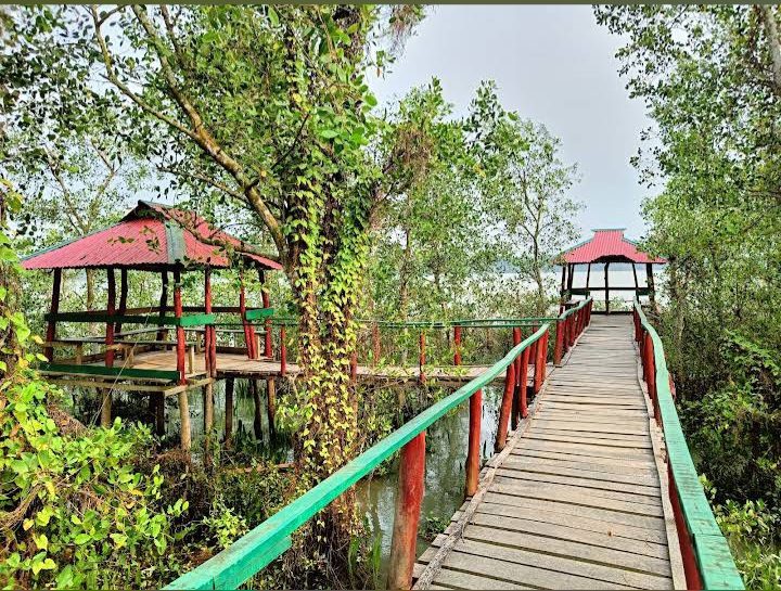 ছৈলার চর, কাঠালিয়া, ঝালকাঠি