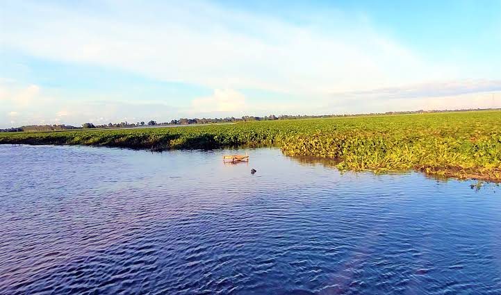 রক্তদহ বিল: ছবি ৩