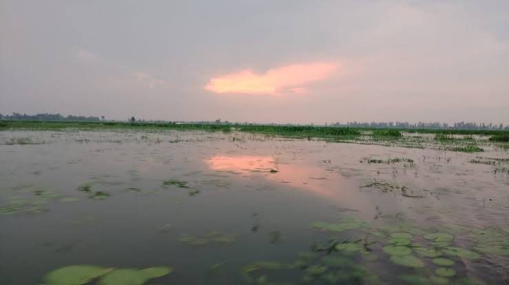 রক্তদহ বিল: ছবি ৫