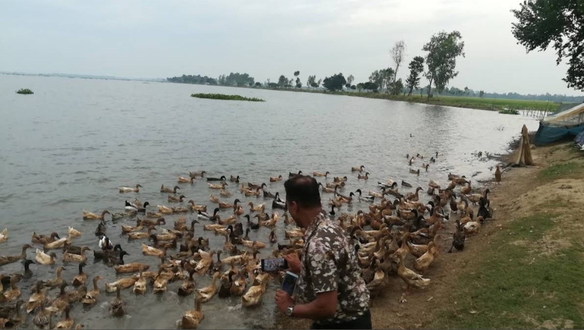 রক্তদহ বিল: ছবি ৭