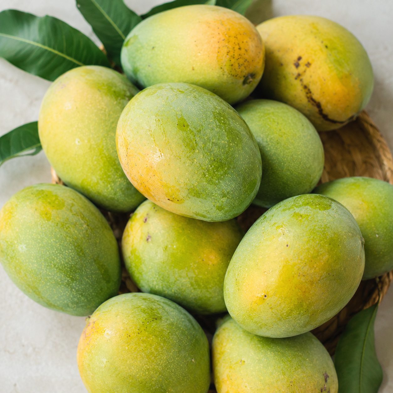 গোপাল ভোগ আম, শিবগঞ্জ, চাঁপাইনবাবগঞ্জ