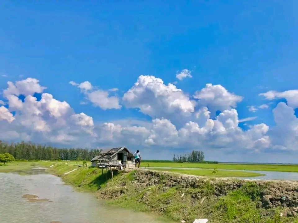 গহিরাপ্যারাবন: ছবি ৩