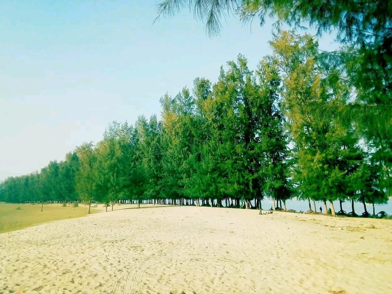 গহিরাপ্যারাবন: ছবি ৪