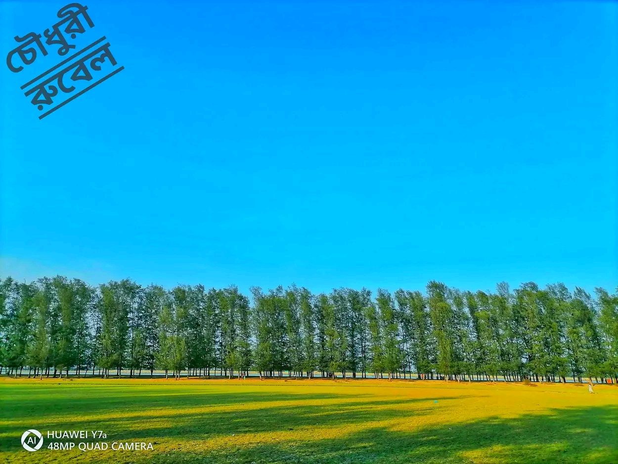 গহিরাপ্যারাবন: ছবি ৫