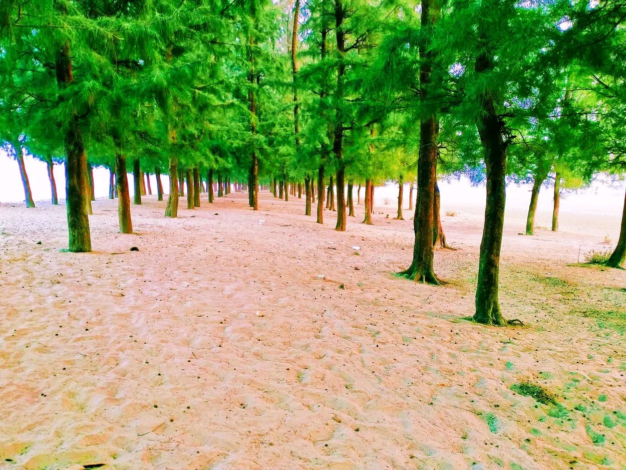 গহিরাপ্যারাবন: ছবি ৭