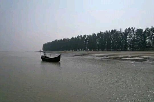 গহিরাপ্যারাবন: ছবি ৯