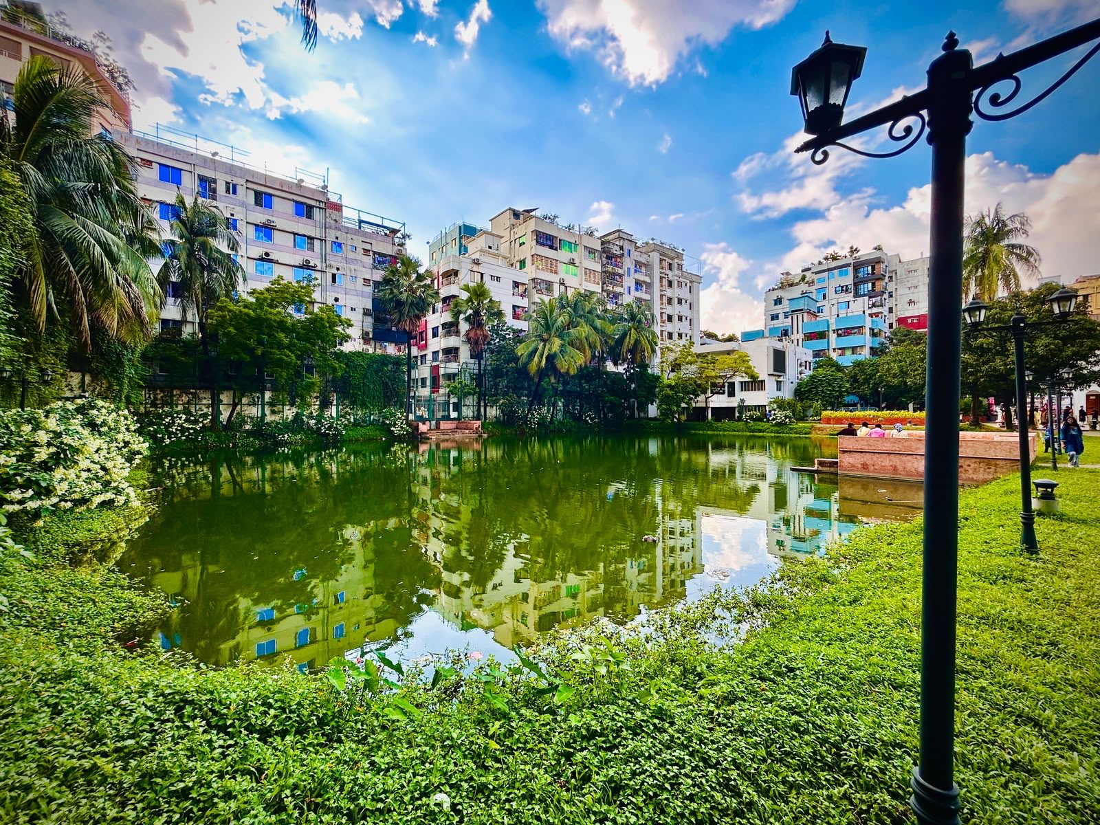 রোজ গার্ডেন: ছবি ৬