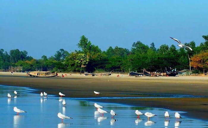 কুতুবদিয়া: ছবি ২