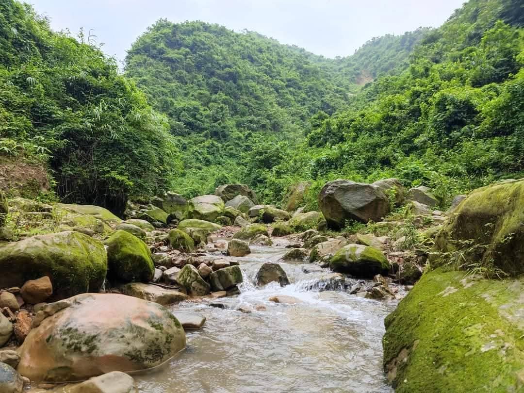 পাঁচগাও, চন্দ্রডিঙ্গা, বঙ্গ টিলা,উট পাহাড়: ছবি ৩