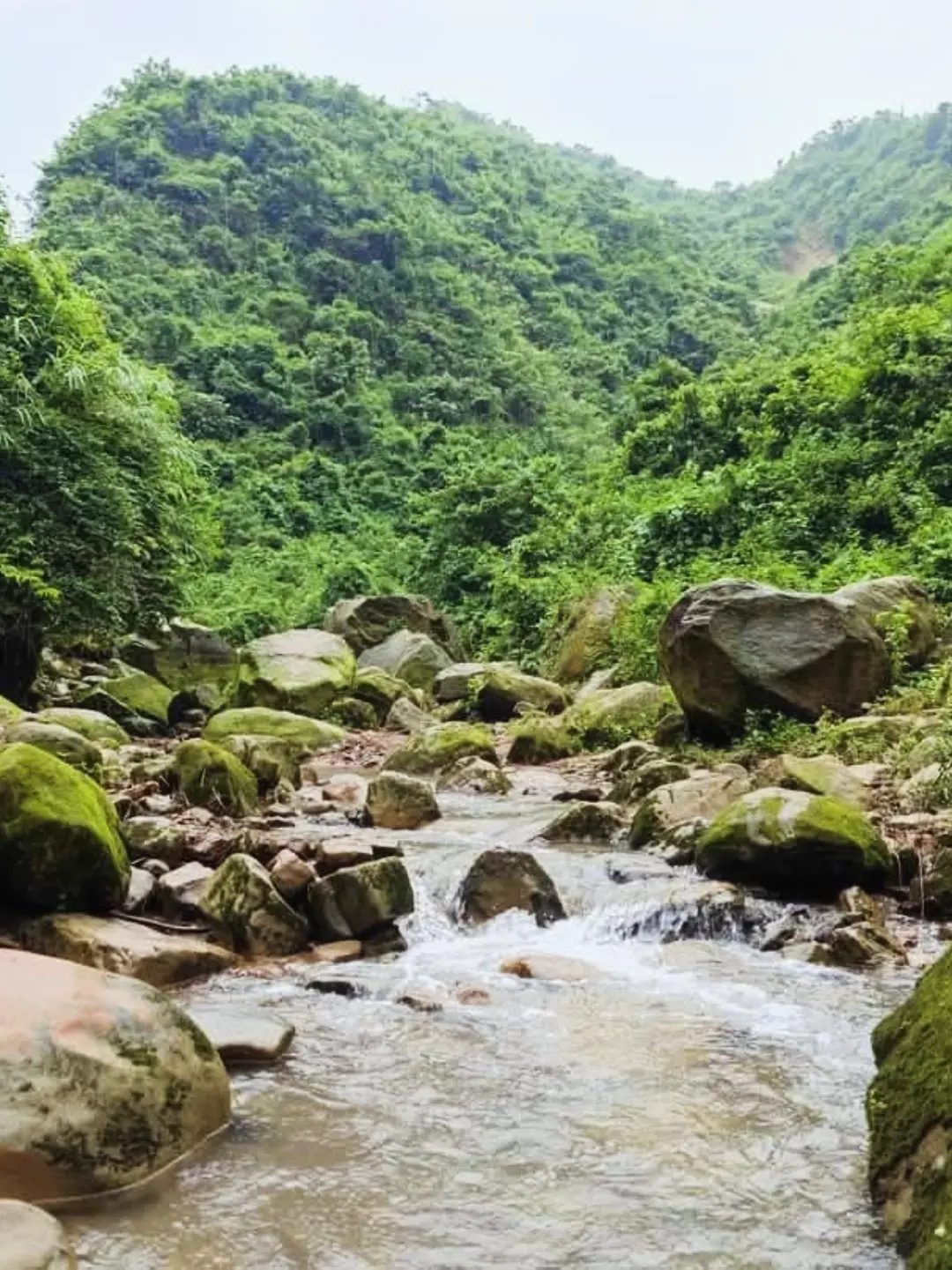 পাঁচগাও, চন্দ্রডিঙ্গা, বঙ্গ টিলা,উট পাহাড়: ছবি ৪