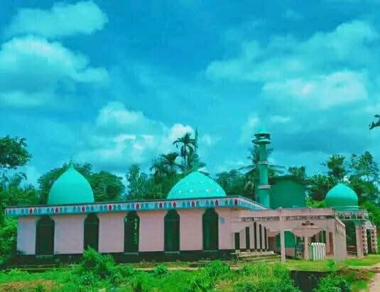 হাদীনগর: ছবি ৫