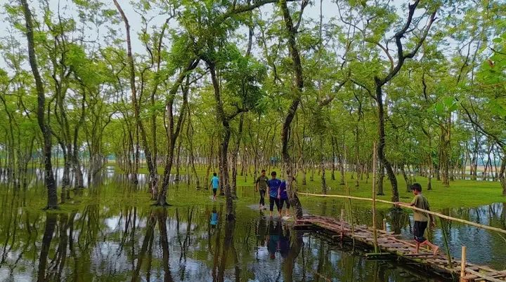 গোমনাতি ফরেস্ট, ডোমার, নীলফামারী