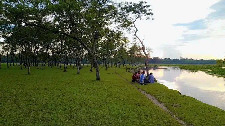 গোমনাতি ফরেস্ট: ছবি ৩