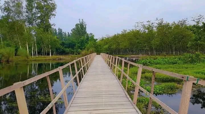 গোমনাতি ফরেস্ট: ছবি ৯