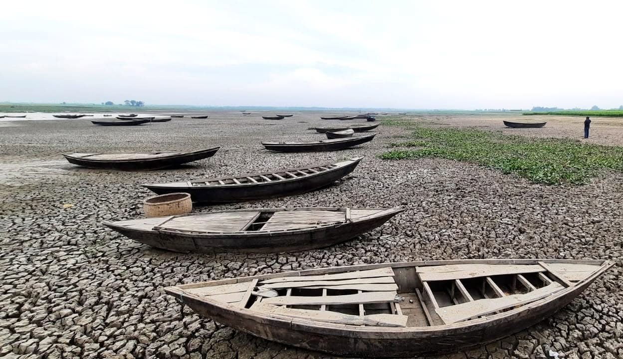 জবই বিল: ছবি ৬