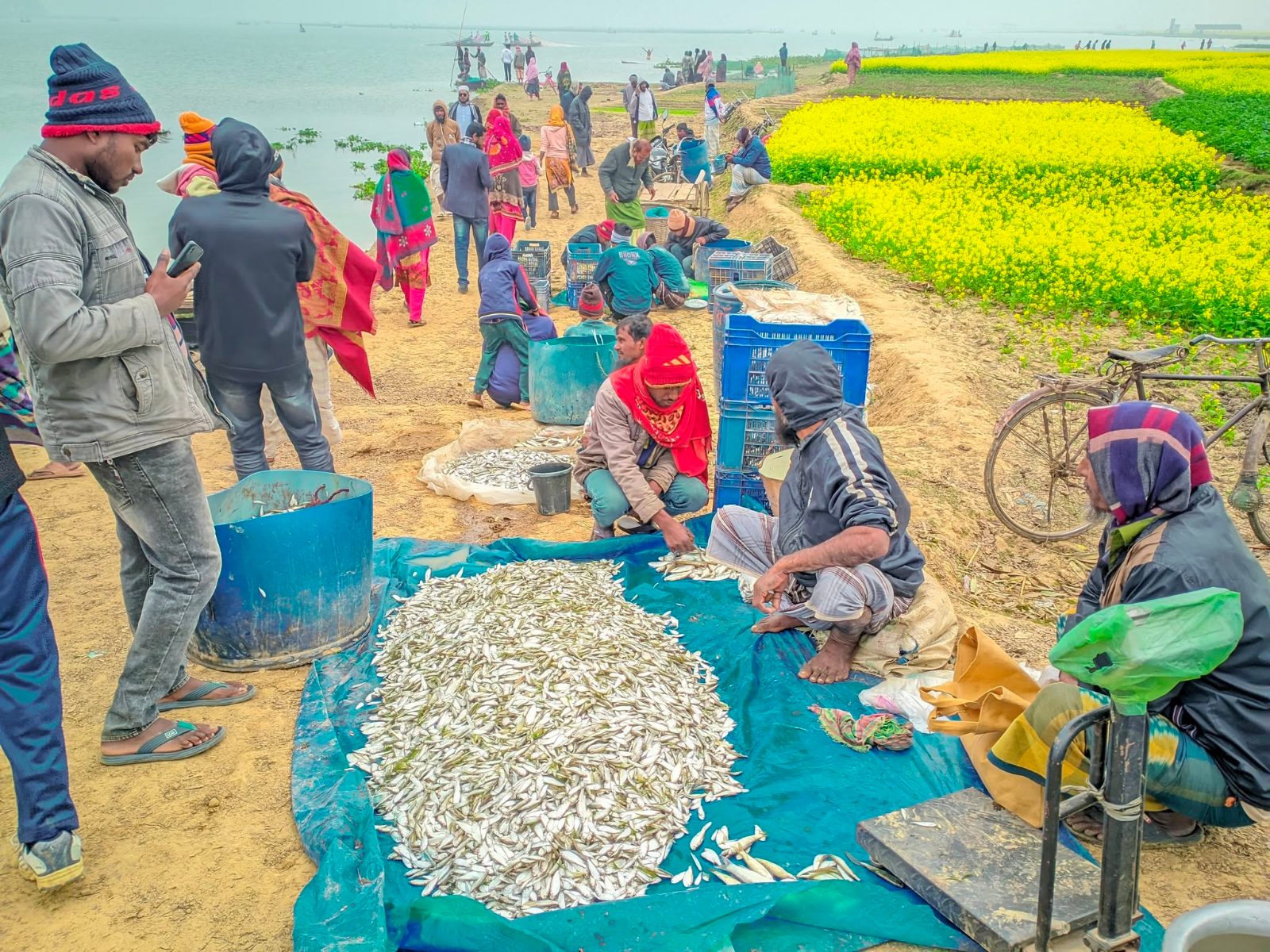 জবই বিল: ছবি ৭