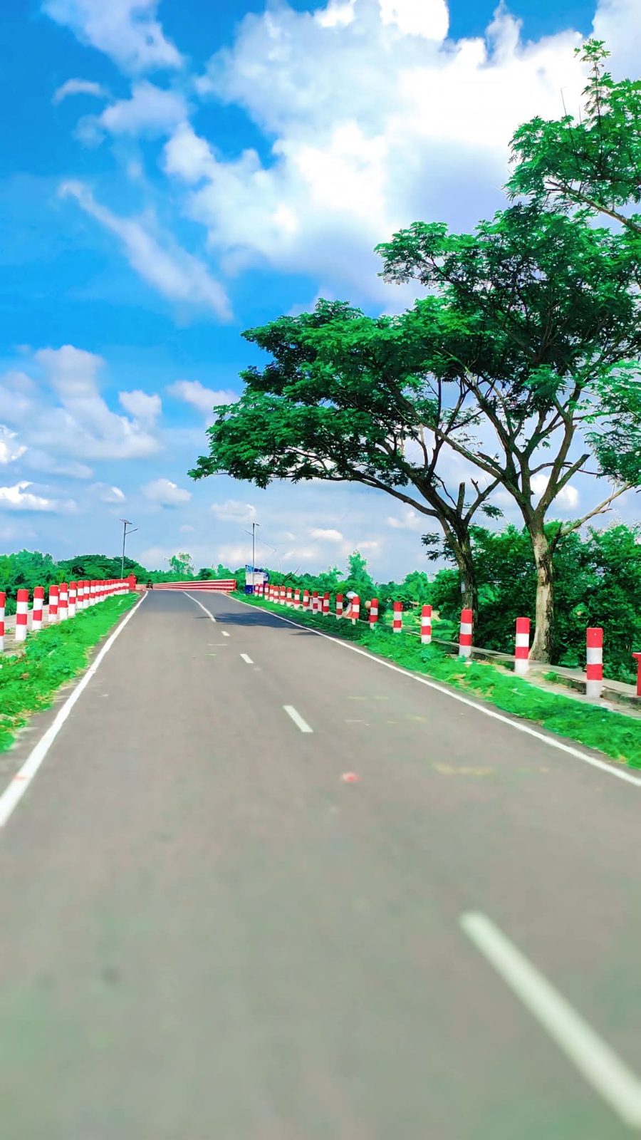 বড়দহ সেতু  কাজলা: ছবি ৮