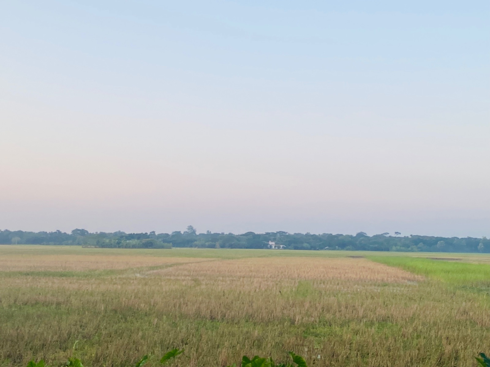 বারইপাড়া ব্রিজ: ছবি ৪