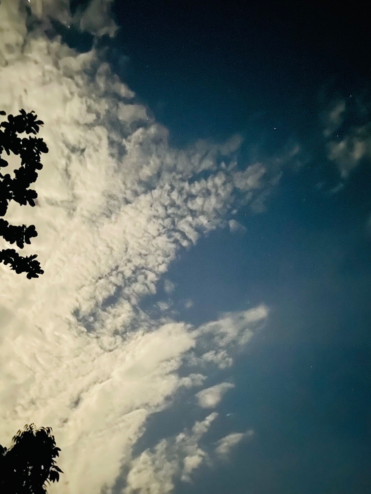 বারইপাড়া ব্রিজ: ছবি ৫