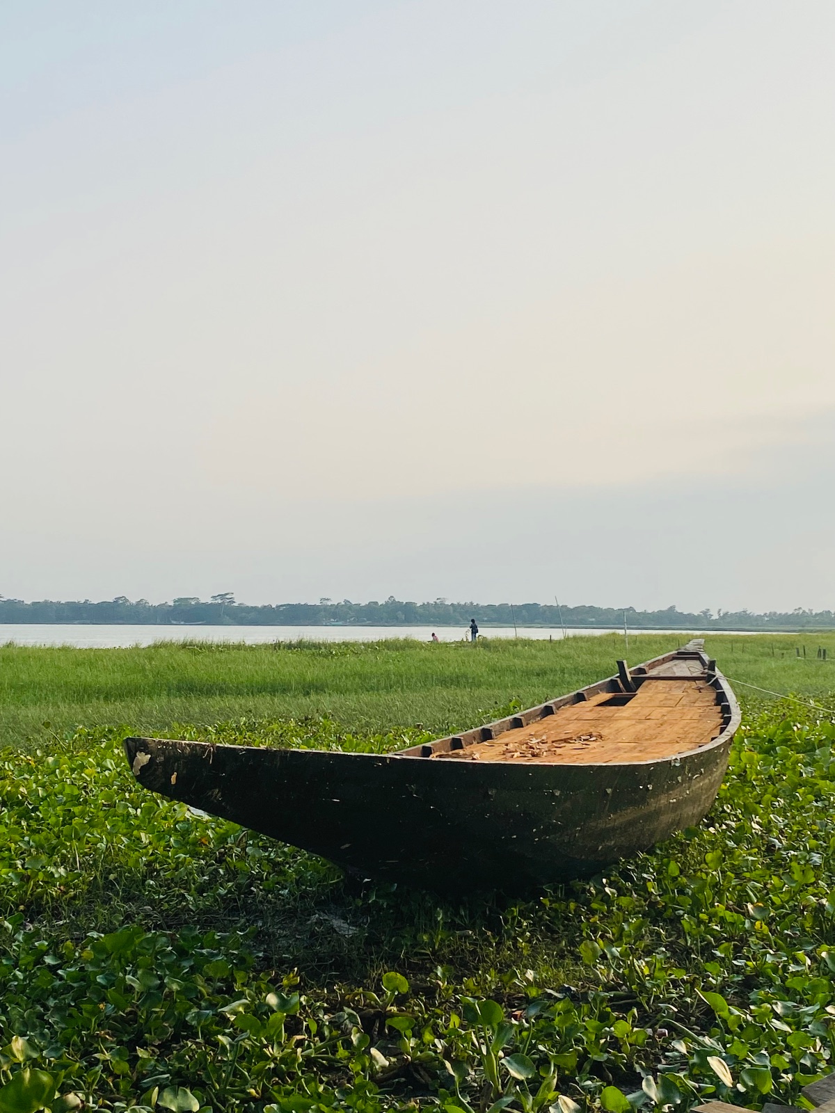 বারইপাড়া ব্রিজ: ছবি ৬