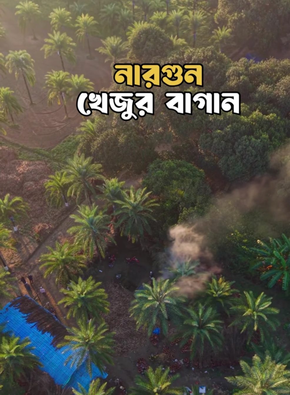 নারগুন খেজুর বাগান: ছবি ৮