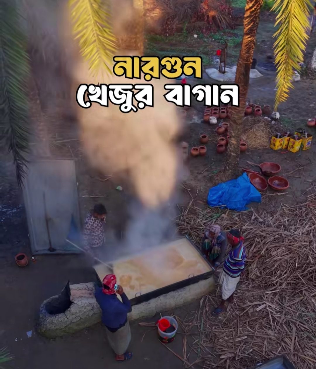 নারগুন খেজুর বাগান: ছবি ৯