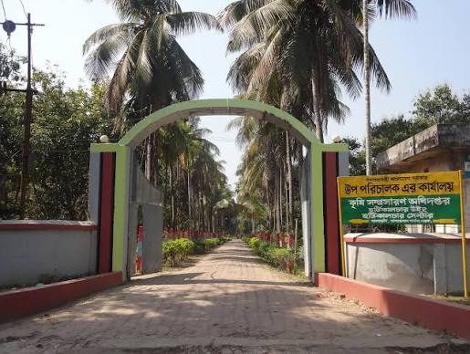 হর্টিকালচার সেন্টার, বান্দরবান: ছবি ২